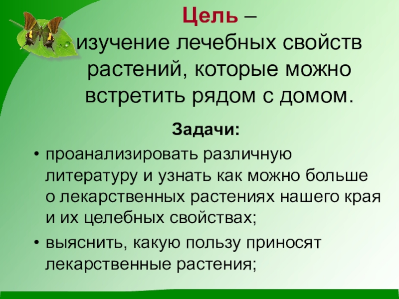 Домашние зеленые лекари проект по биологии 6 класс