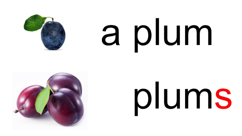 Premium plums tg. Plum произношение. Транскрипция русская Plum. Как читается Plums. Plum person.
