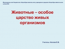 Животные – особое царство живых организмов.pptx
