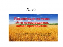 Презентация по теме: Что летом родится, зимой пригодится