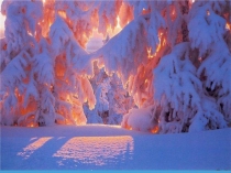 Презентация по математике на тему Масса