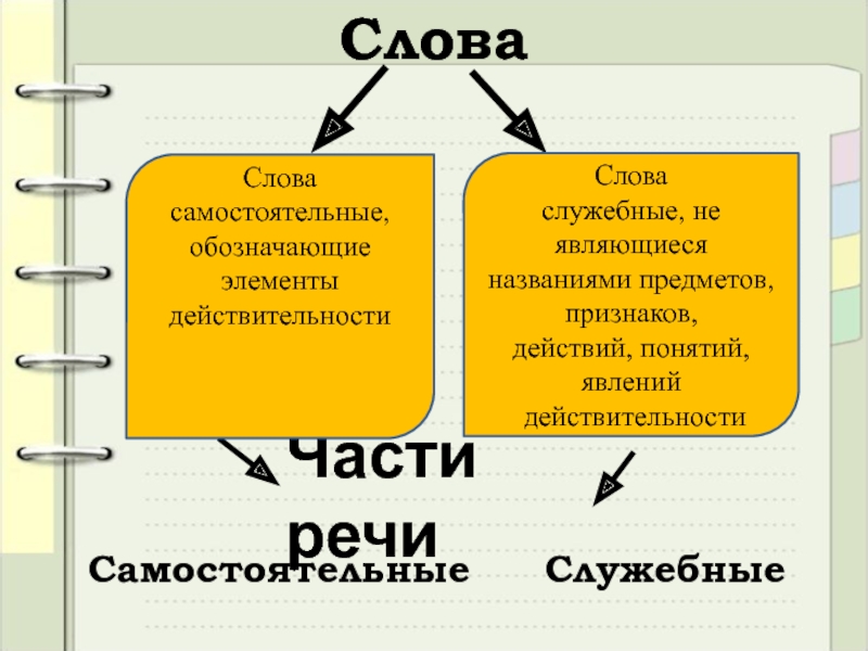 15 самостоятельных слов