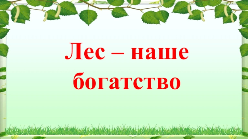 Презентация лес наше богатство для подготовительной группы