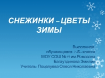 Проект по окружающему миру