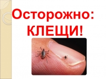 Беседа для учащихся на тему  Внимание, клещи!(1-2 класс)