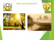 Презентация по русскому языку на тему Правописание корней лаг-лож (5 класс)