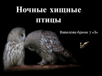 Презентация по биологии на тему: Ночные хищные птицы (7 класс)