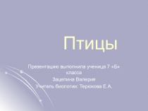 Птицы