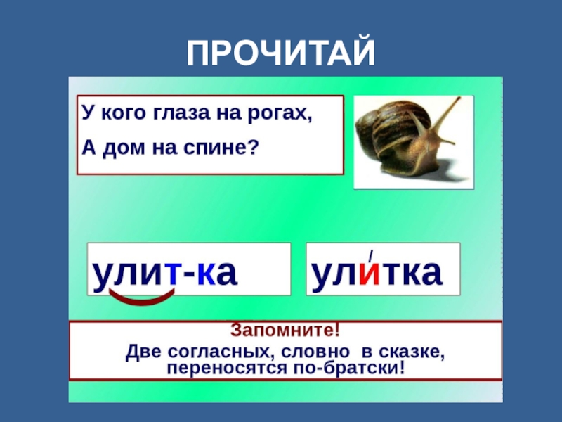 Загадка глаз. У кого глаза на рогах а дом на спине. Загадка глаза на рогах а ДОМОК на спине. Две согласных словно в сказке переносятся по братски. Прочитай загадки объясни отгадки глаза на рогах.