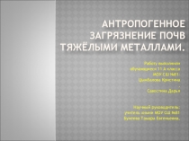 Антропогенное загрязнение почв тяжёлыми металлами ( исследовательская работа)