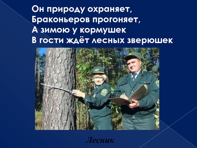 лесничий егерь. лесник охраняет. лесовод профессия. доклад о профессии лесничий. картинка лесника для детей в доу.