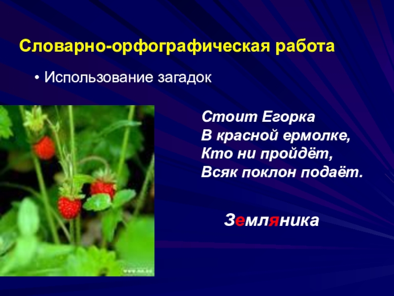 Всяк проходящий. Загадка стоит Егорка в красной ермолке кто ни пройдет всяк поклон. Ермолка красная. Стоит Егорка в красной ермолке кто ни пройдёт всяк поклон отдает. Стоит Егорка в красной ермолке загадка.