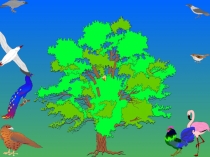 Презентация по познанию миранатему Птицы (1класс)