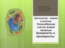 Презентация по биологии на тему  Цитология - наука о клетке