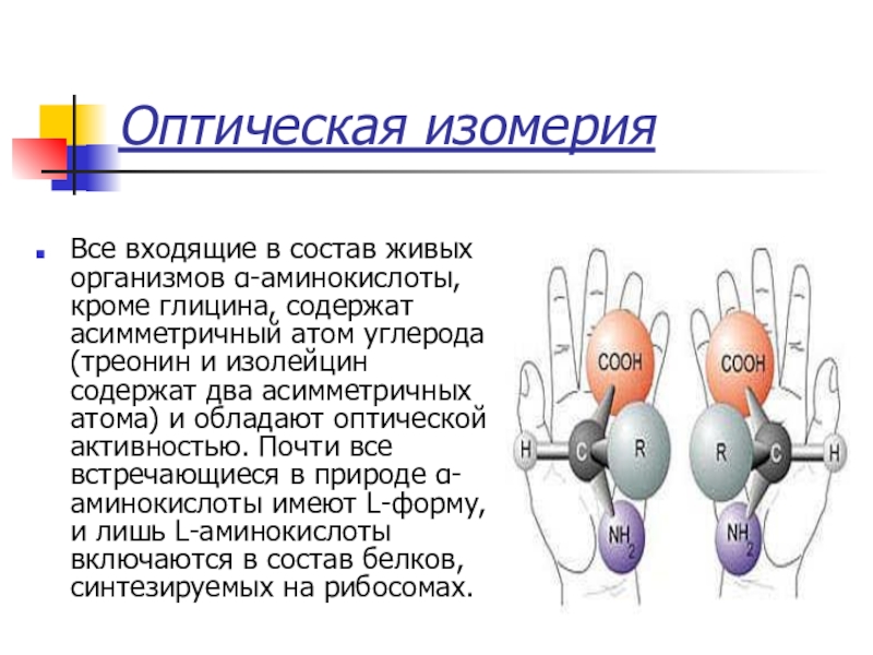 Активность белки. Оптическая изомерия α аминокислот. Оптической активностью не обладают. Асимметрический атом аминокислота. Глицин оптические изомеры.