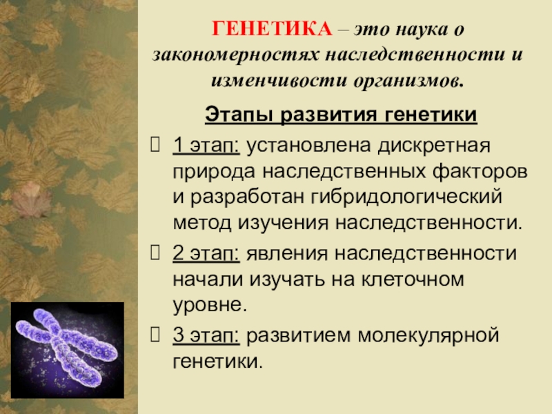 Презентации по теме генетика