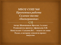 Проектная работа Биокерамика (1 класс)