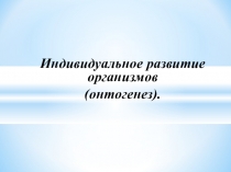 Презентация к уроку Индивидуальное развитие организмов (онтогенез).