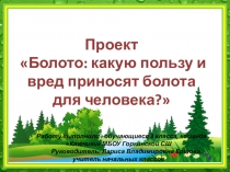 ПрезентацияПольза и вред болот