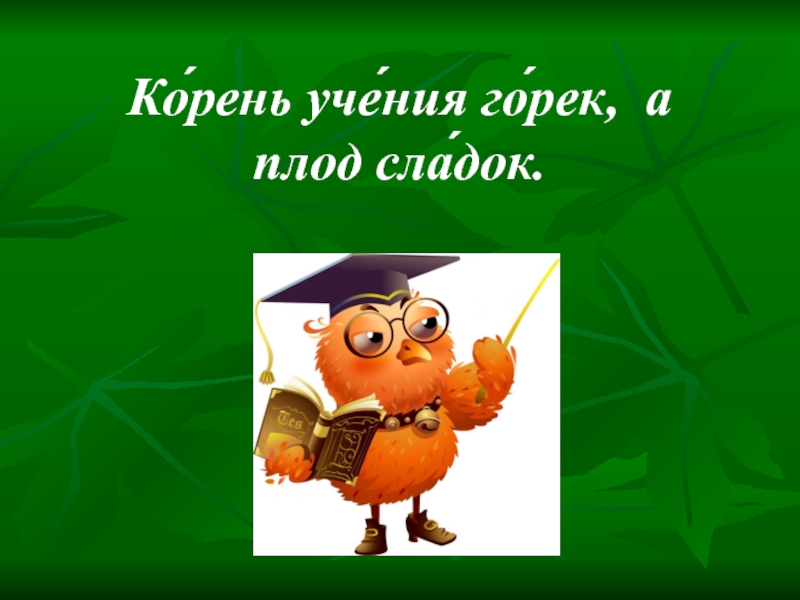 Ученье горько. Корень учения горек да плод его сладок. Пословица корень учения горек да плод его сладок. Корень учения горек а плод. Корень учения горек но плоды его Сладки.