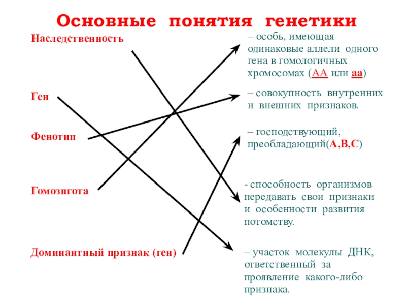 Основные понятия генетики 10 класс биология презентация