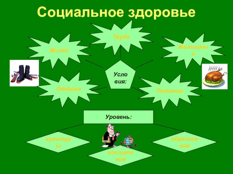 Компоненты социального здоровья человека