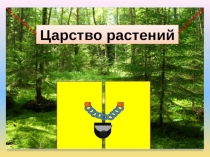 Презентация по окружающему миру на тему Какие бывают растения?