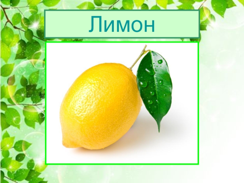 Загадка про лимон. Лимоновый слайд. Лимон схема 1 класс. Загадка про лимон для детей.