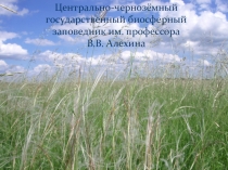 Центрально-чернозёмный государственный биосферный заповедник им.профессора В.В. Алёхина