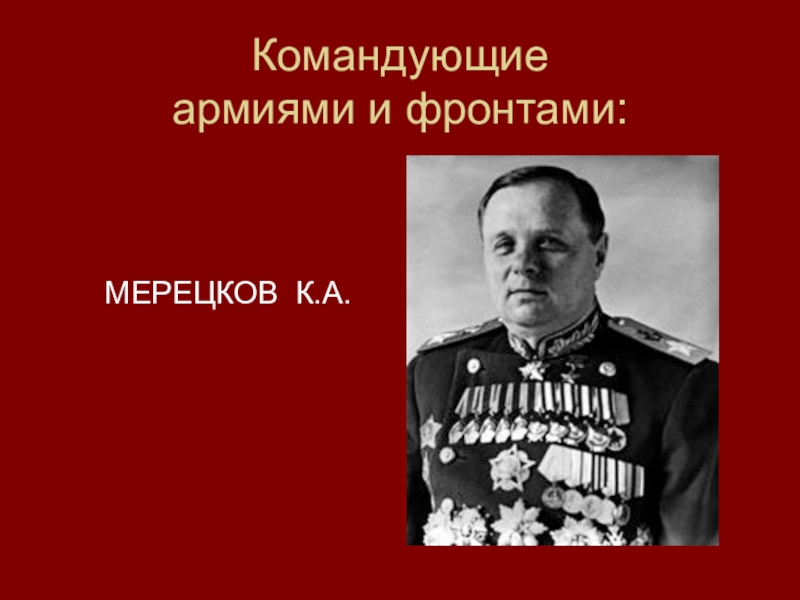 Мерецков командовал. Мерецков Маршал советского Союза. Маршалы Победы Мерецков. К.А. Мерецков битвы.