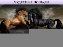 Презентация к исследовательской работе Чудесные лошади Михайлов Денис 4 класс