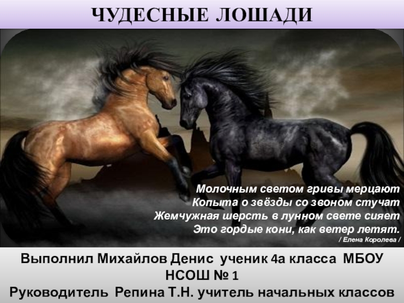 Презентация Презентация к исследовательской работе Чудесные лошади Михайлов Денис 4 класс