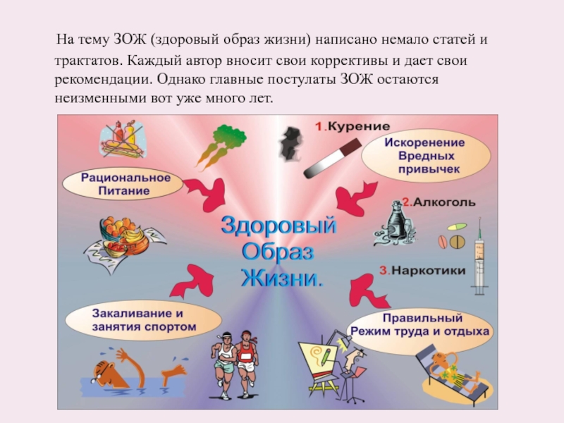 Реферат: Здоровый образ жизни и эффективное питание по группам крови