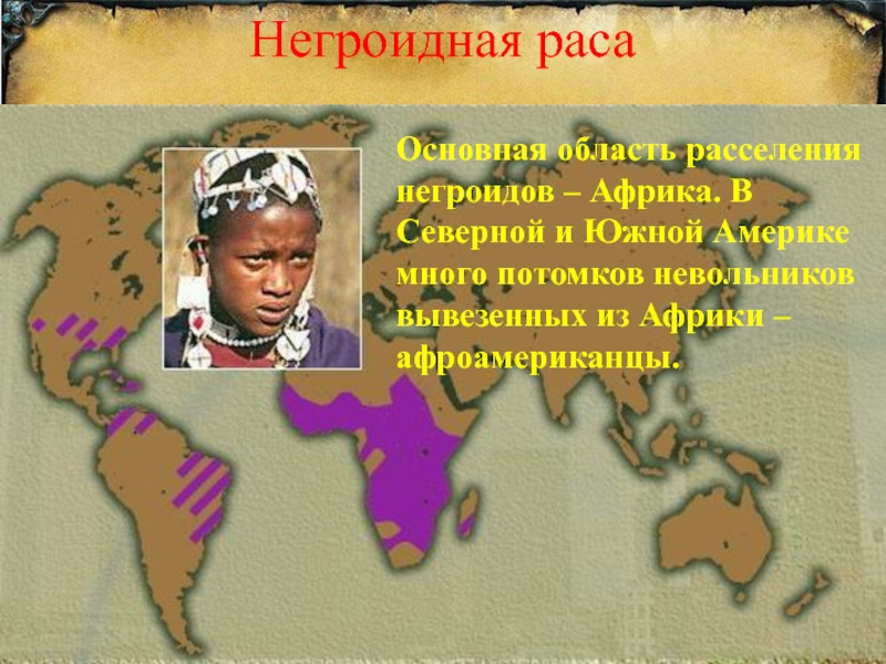 Негроидная расаОсновная область расселения негроидов – Африка. В Северной и Южной Америке много потомков невольников вывезенных из