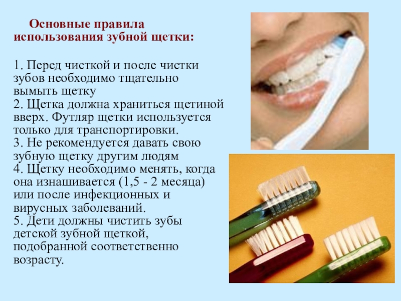 Основные правила использования зубной щетки: 1. Перед чисткой и после чистки зубов необходимо тщательно вымыть щетку 2.
