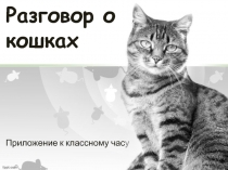Презентация к внеклассному мероприятию Разговор о кошках. Как правильно ухаживать за ними.