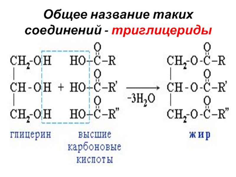 Три глицерины. Триглицерид. Формула триглицеридов. Триглицерид стеариновой кислоты. Структурные формулы триглицеридов.