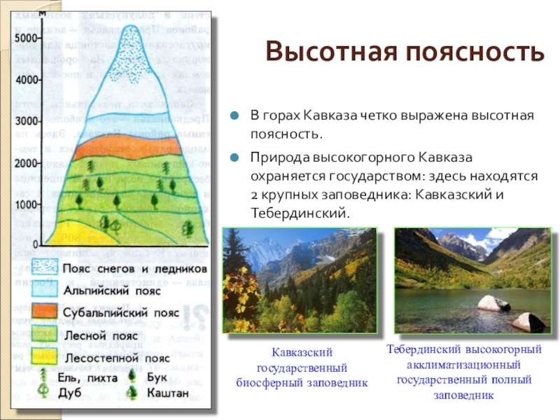 Высотная поясность россии 8 класс география