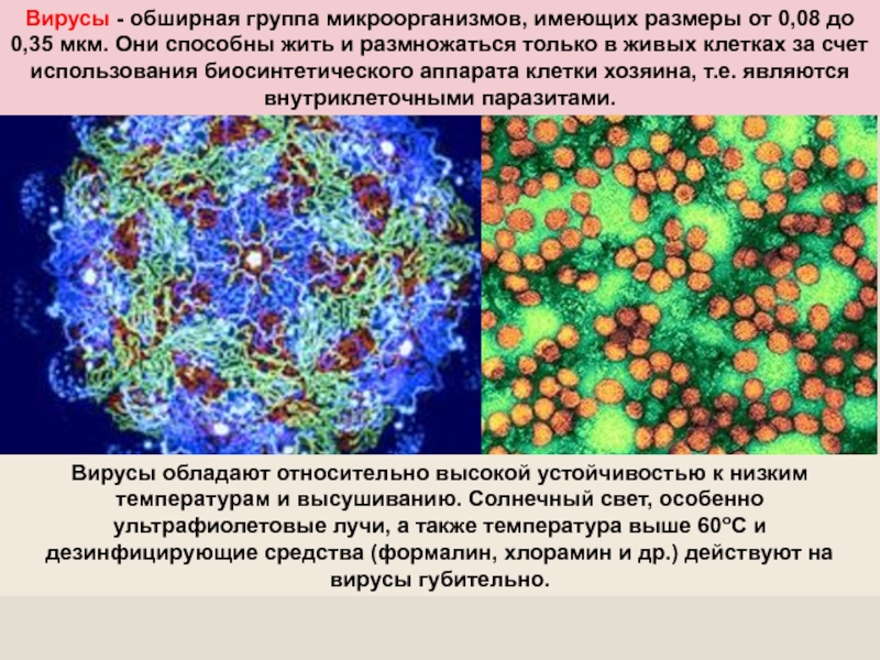 Вирусы группа микроорганизмов. Биологическое оружие бактерии. Вирусы и бактерии биологическое оружие. Вирусы как биологическое оружие примеры.