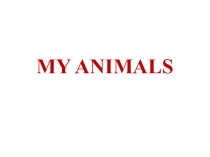 Презентация по английскому языку My animals 2 класс, Spotlight