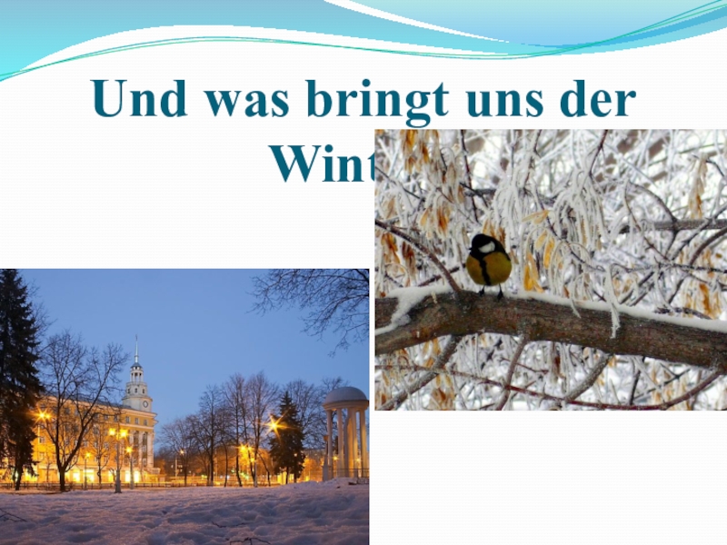 Презентация Презентация по немецкому языку по теме Зима, 3 класс