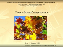 Презентация к уроку по окружающему миру Волшебница осень