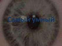 Презентация интеллектуальной игры Самый умный