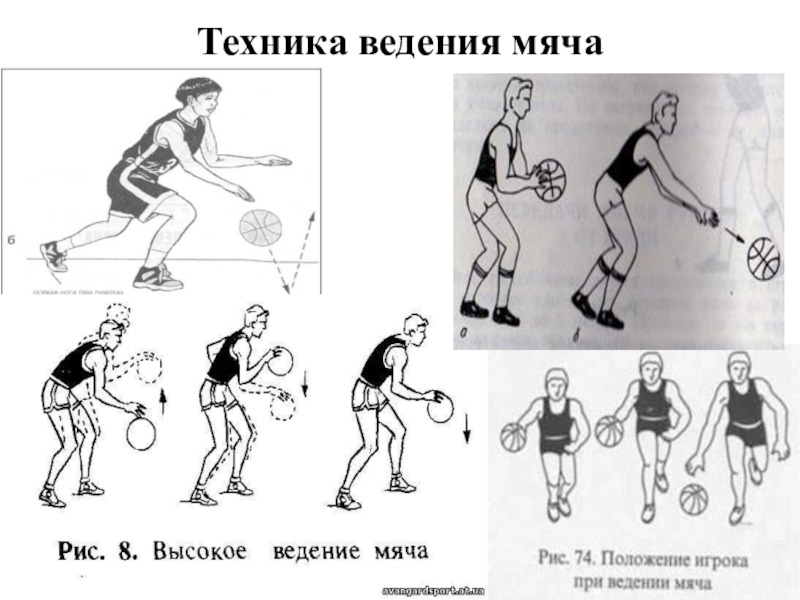 Ведение мяча двумя руками в баскетболе. Техники ведения мяча в баскетболе. Ведение с высоким отскоком мяча в баскетболе. Ведение с низким отскоком мяча в баскетболе. Ведение баскетбольного мяча в разных стойках.