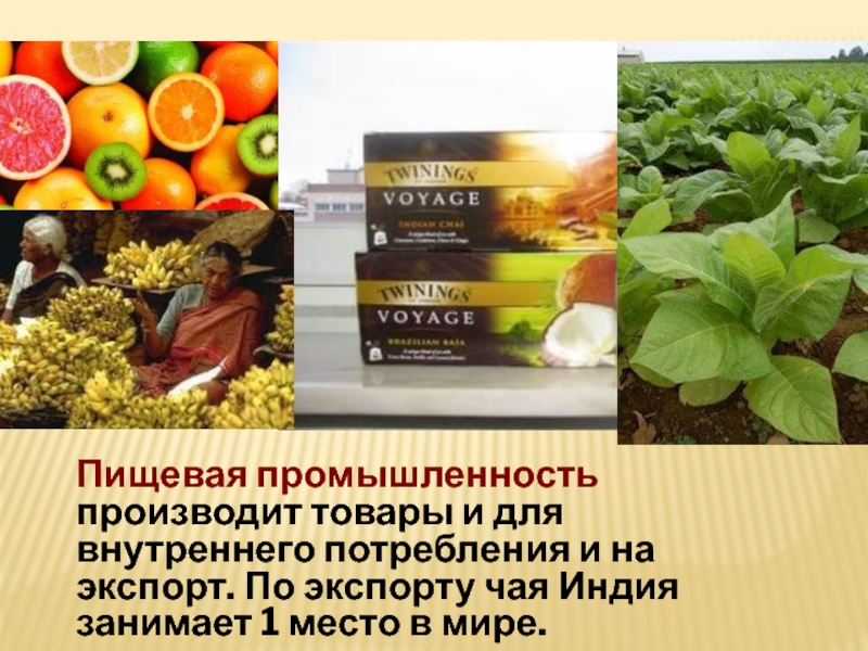 Индия промышленная продукция. Пищевая промышленность Индии. Презентация на тему промышленность Индии. Экспорт Индии чай. Индийский чай на экспорт.