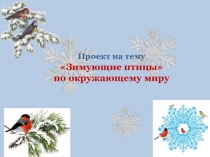 Урок- проект для учащихся начальной школы Покормите птиц зимой!