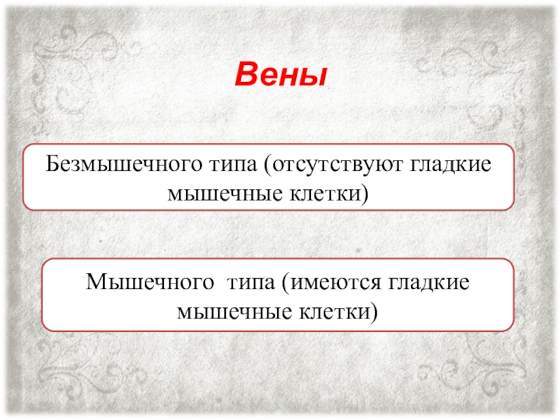 Тип отсутствия. Вены безмышечного типа. Вены печени безмышечного типа. Вены печени бешмышечного типа. К венам безмышечного типа относятся.