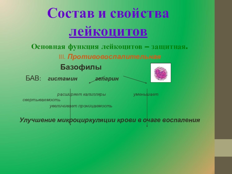 Характеристика лейкоцитов. Одним из основных свойств лейкоцитов является. Лейкоциты состав и функции. Особенности строения, функции, свойства лейкоцитов. Основное свойство лейкоцитов.