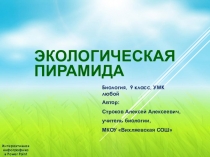 Презентация по биологии на тему Экологические пирамиды (9 класс)