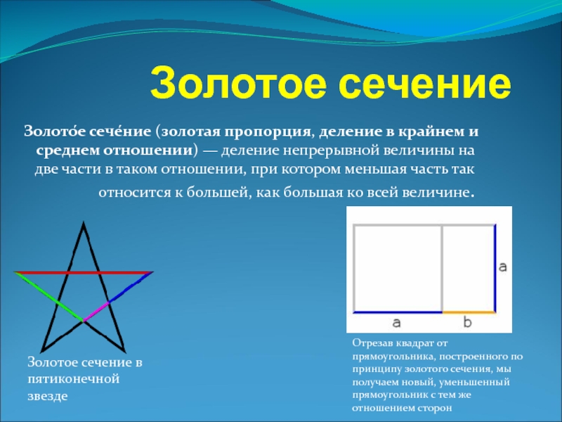 Золотая пропорция проект по математике 10 класс